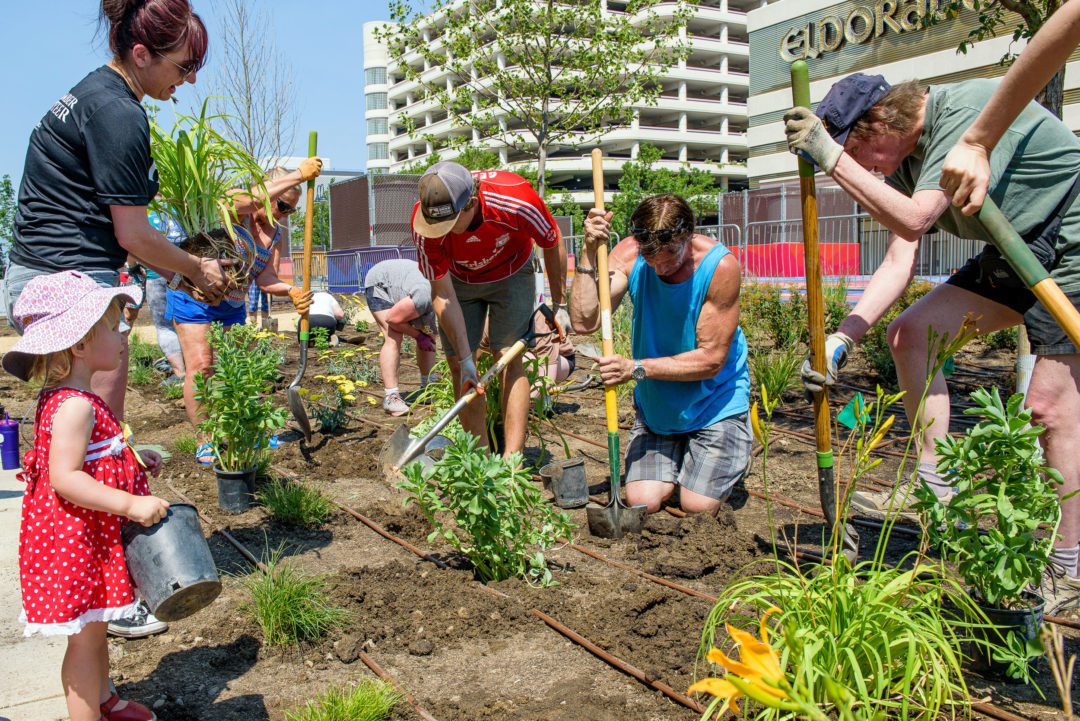 People working together to plant new greenery inside the Locomotion plaza.