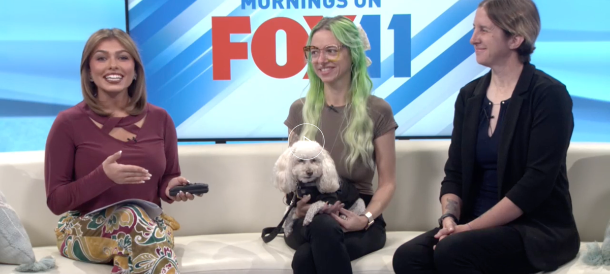 Positively Downtown: Downtown Reno Partnership’s Blue Carpet Treatment