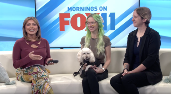 Positively Downtown: Downtown Reno Partnership’s Blue Carpet Treatment