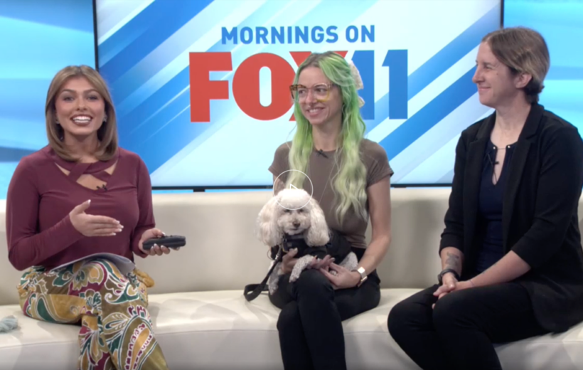 Positively Downtown: Downtown Reno Partnership’s Blue Carpet Treatment