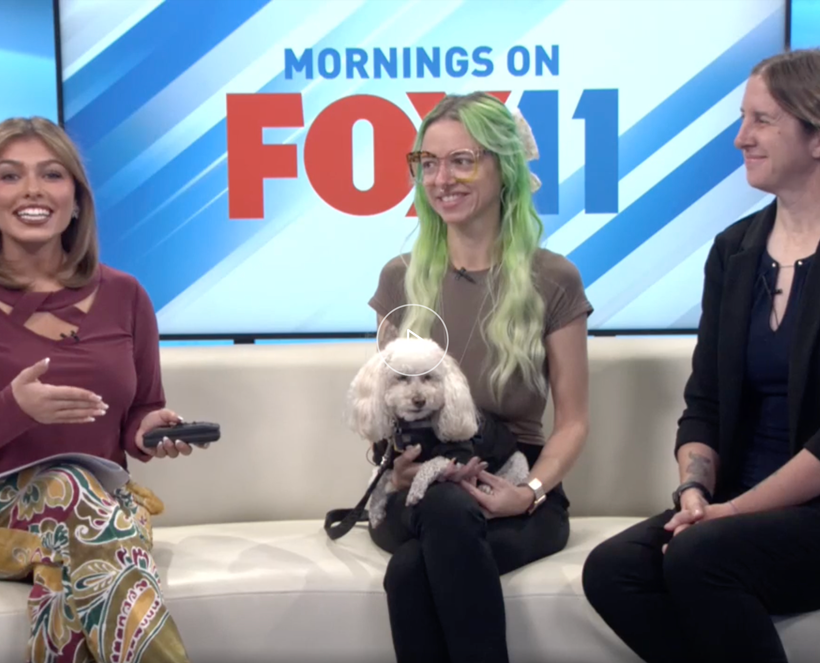 Positively Downtown: Downtown Reno Partnership’s Blue Carpet Treatment