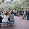 Downtown Reno Partnership Adds Shopping Vendors to Downtown Tuesdays