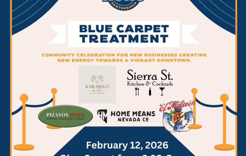 Blue Carpet Block Party