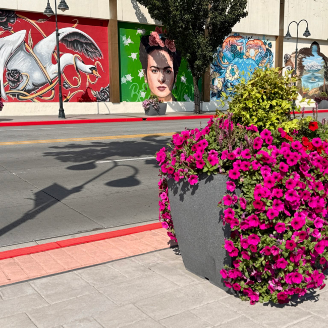 Planters