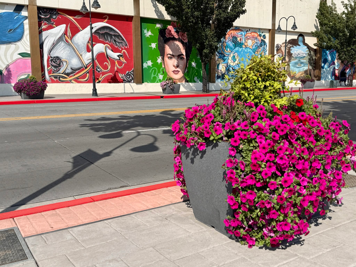 Planters